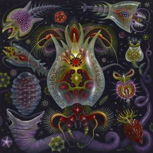 Hydnora by Stop Motion Orchestra