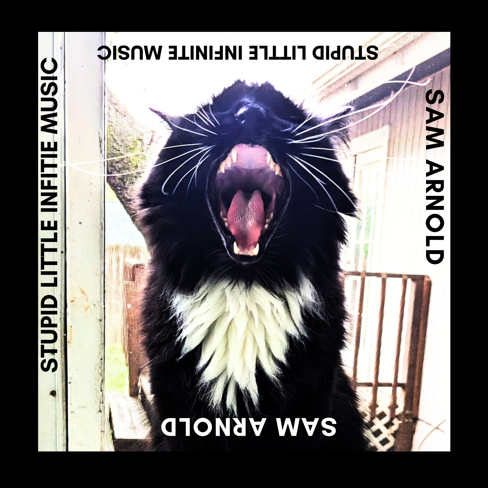 New Release: Stupid Little Infinite Music – Sam Arnold, Musicianator